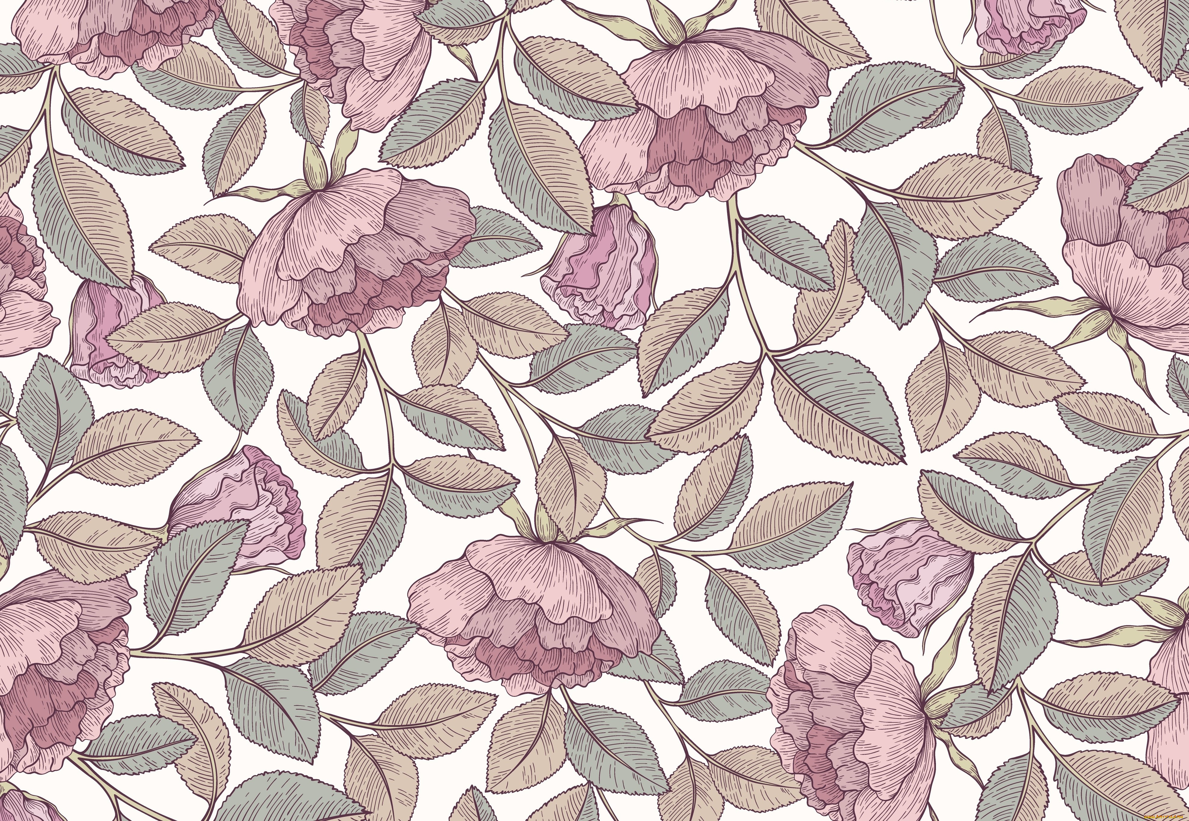  ,  , flowers, , 